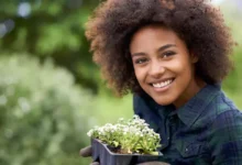 7 Best Herbs for your glowing skin to prevent from Anti Ageing