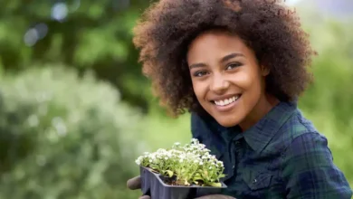 7 Best Herbs for your glowing skin to prevent from Anti Ageing
