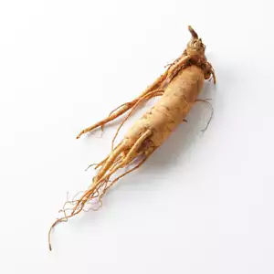 Ginseng