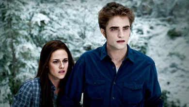 Twilight Turns 20 A Complete Guide for Every Fan